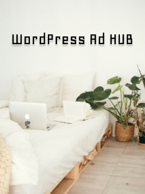 WordPress Ad Hub