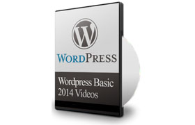 WordPress Video Widget