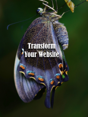 Transform Your Website
