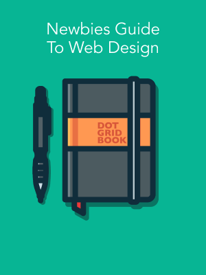 Newbies Guide To Web Design